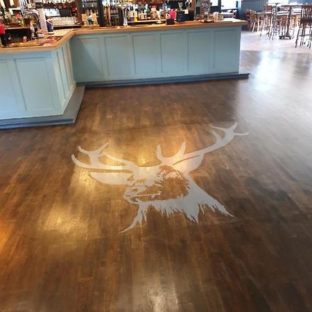 The Roebuck Inn Southampton Buitenkant foto