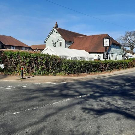 The Roebuck Inn Southampton Buitenkant foto