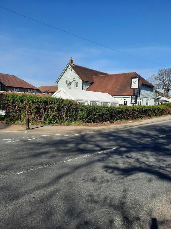 The Roebuck Inn Southampton Buitenkant foto